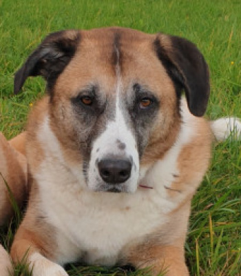 avatar for luckyderhsh-mix