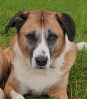 Profilbild von luckyderhsh-mix