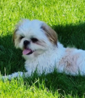 Profilbild von benji2020