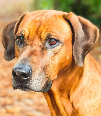 avatar for Winnietwo