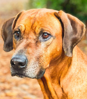 Profilbild von Winnietwo