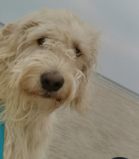 Profilbild von happy