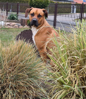 Profilbild von bruno