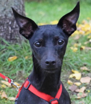 Profilbild von guba99