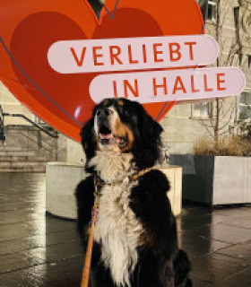 Profilbild von Flocki