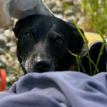 screenshot_2023-11-02-21-03-24-619_com-whatsapp-edit