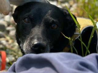 Screenshot_2023-11-02-21-03-24-619_com.whatsapp-edit