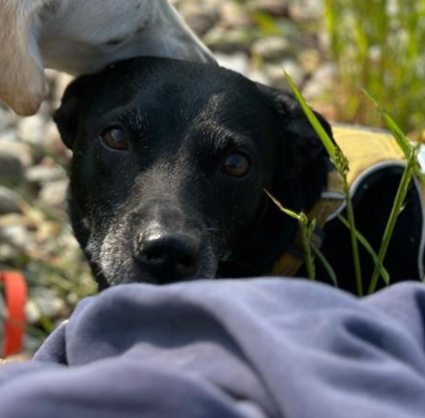 screenshot_2023-11-02-21-03-24-619_com-whatsapp-edit