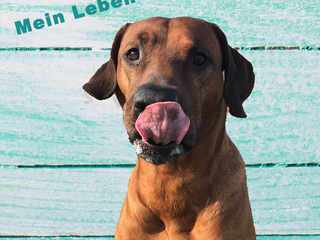 Insta Beitrag 2 mein Leben und ich