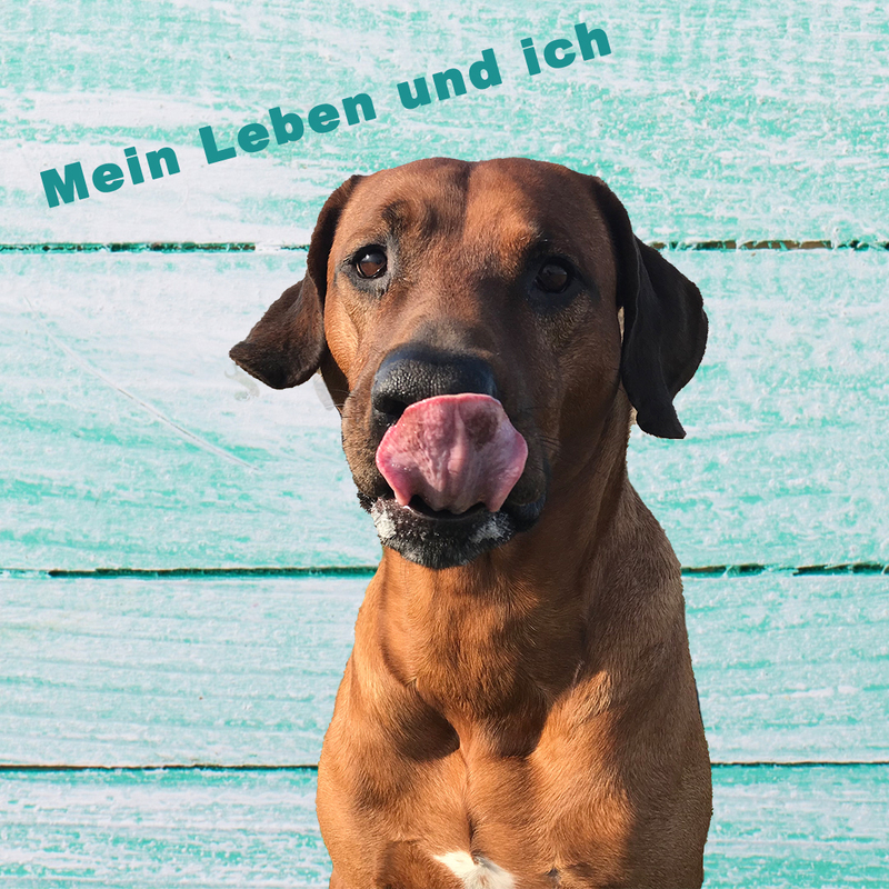 insta-beitrag-2-mein-leben-und-ich