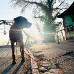 morgensonne-maerz-2024