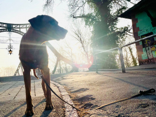 Morgensonne März 2024