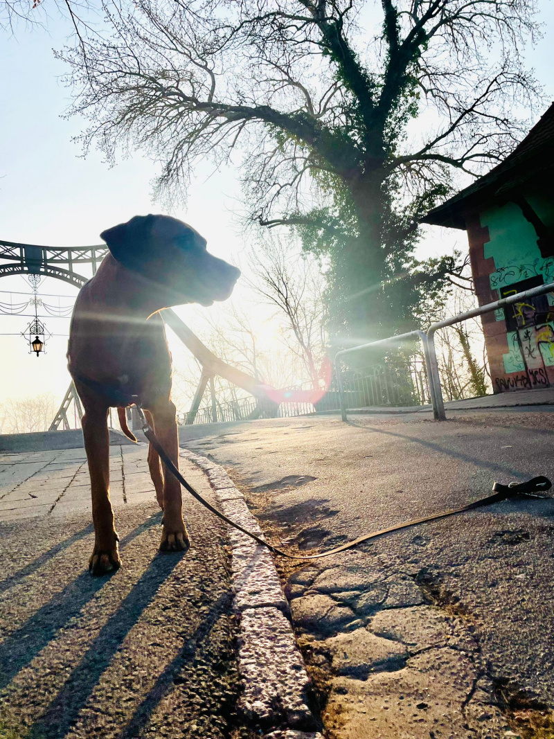 morgensonne-maerz-2024